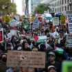 Foto: www.antaranews.com